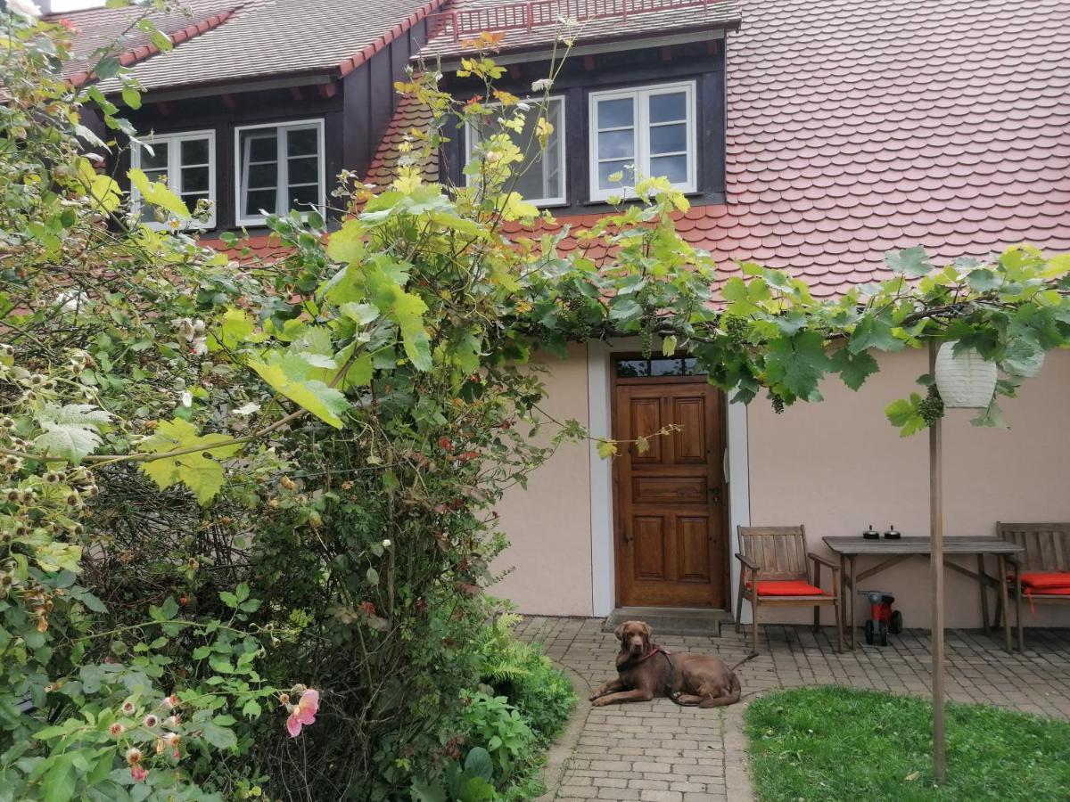 Hiltpoltstein Ferienwohnungen Wastl Fraenkische Schweiz מראה חיצוני תמונה